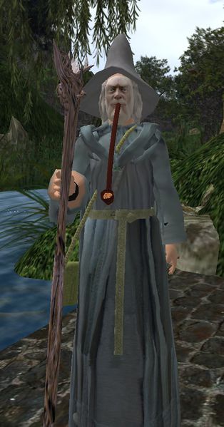 File:Sascha Wikipic.jpg